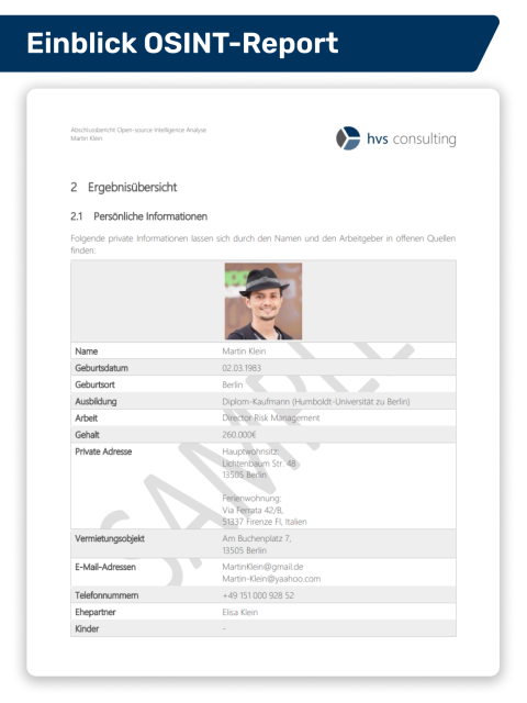 Einblick in einen beispielhaften Ergebnisreport einer OSINT-Analyse