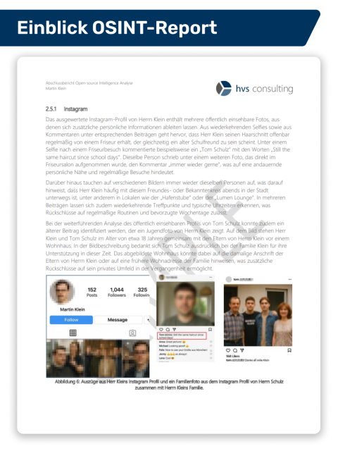Einblick in einen beispielhaften Ergebnisreport einer OSINT-Analyse