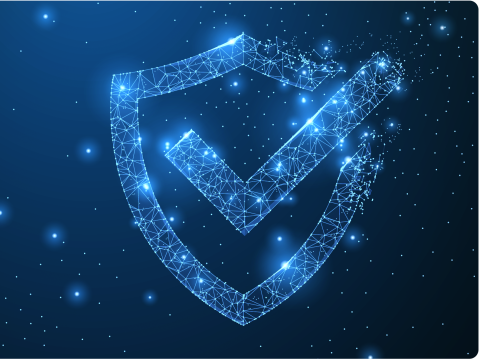 HvS Security Schild, shild