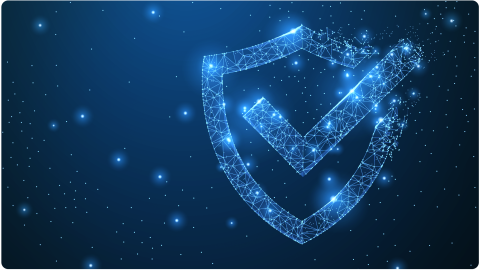 HvS Security Schild, shild