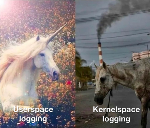 Once you’re in kernel space, all hope is lost, so why even bother logging? 