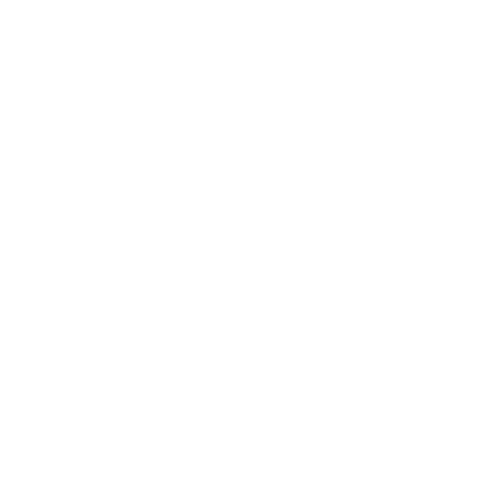 HvS Threat Insights Logo in white