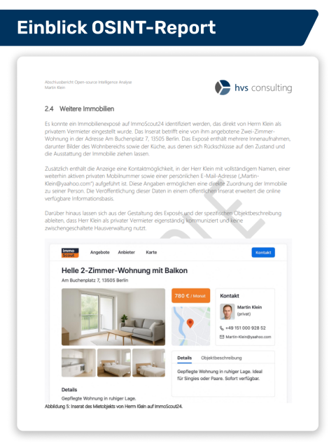 Einblick in einen beispielhaften Ergebnisreport einer OSINT-Analyse_3