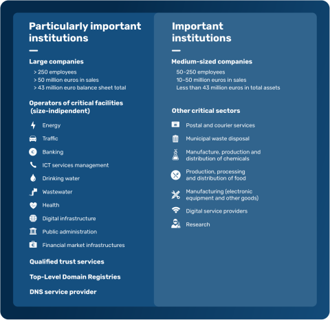 Graphic showing the companies affected by NIS-2