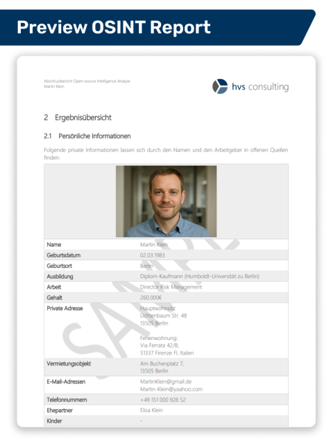 Insight into a Sample OSINT Report_1