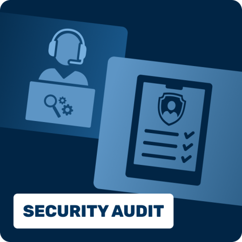 Security Audit